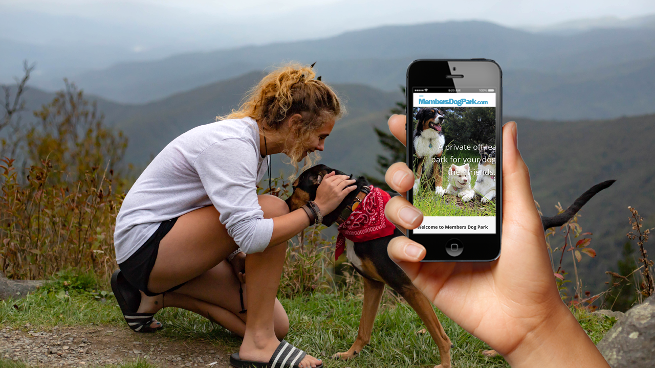 Your Business.   Your Website.